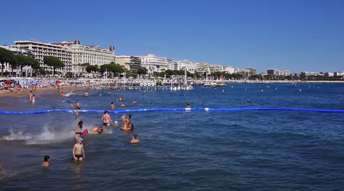 Vente Immobilier Professionnel Murs commerciaux Cannes ()