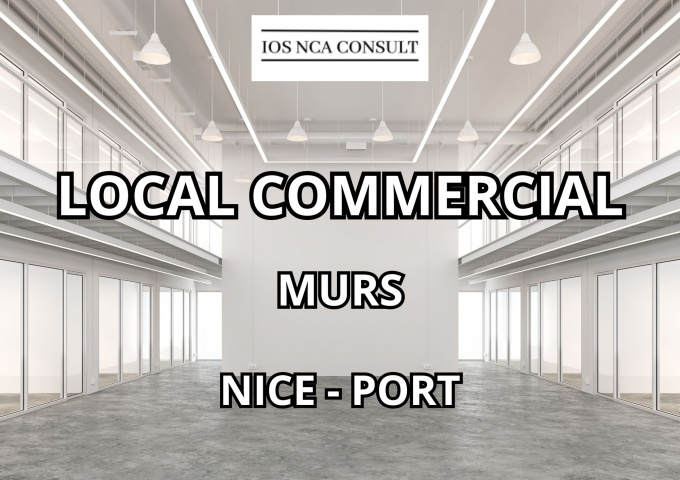 Vente Immobilier Professionnel Local commercial Nice (06300)