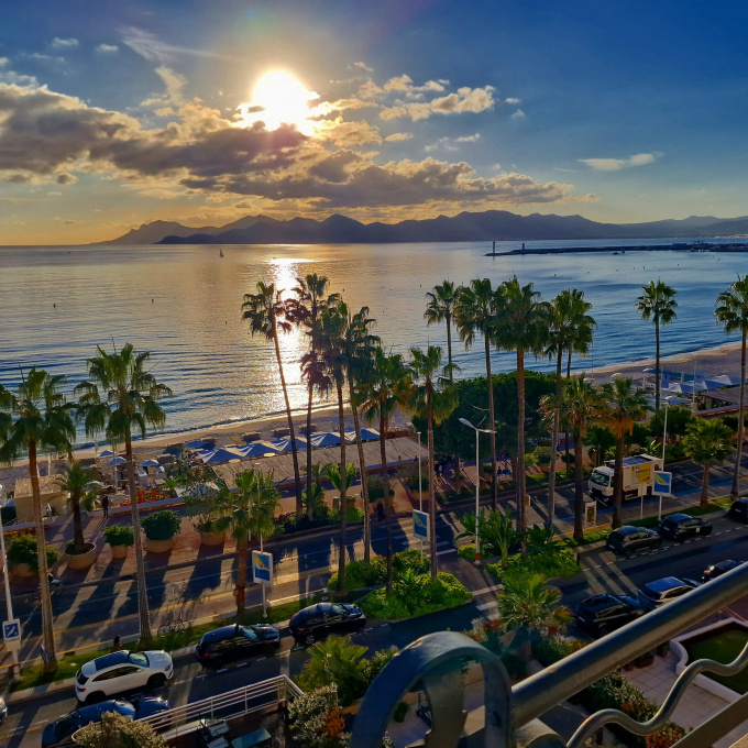 Vente Immobilier Professionnel Murs commerciaux Cannes (06400)